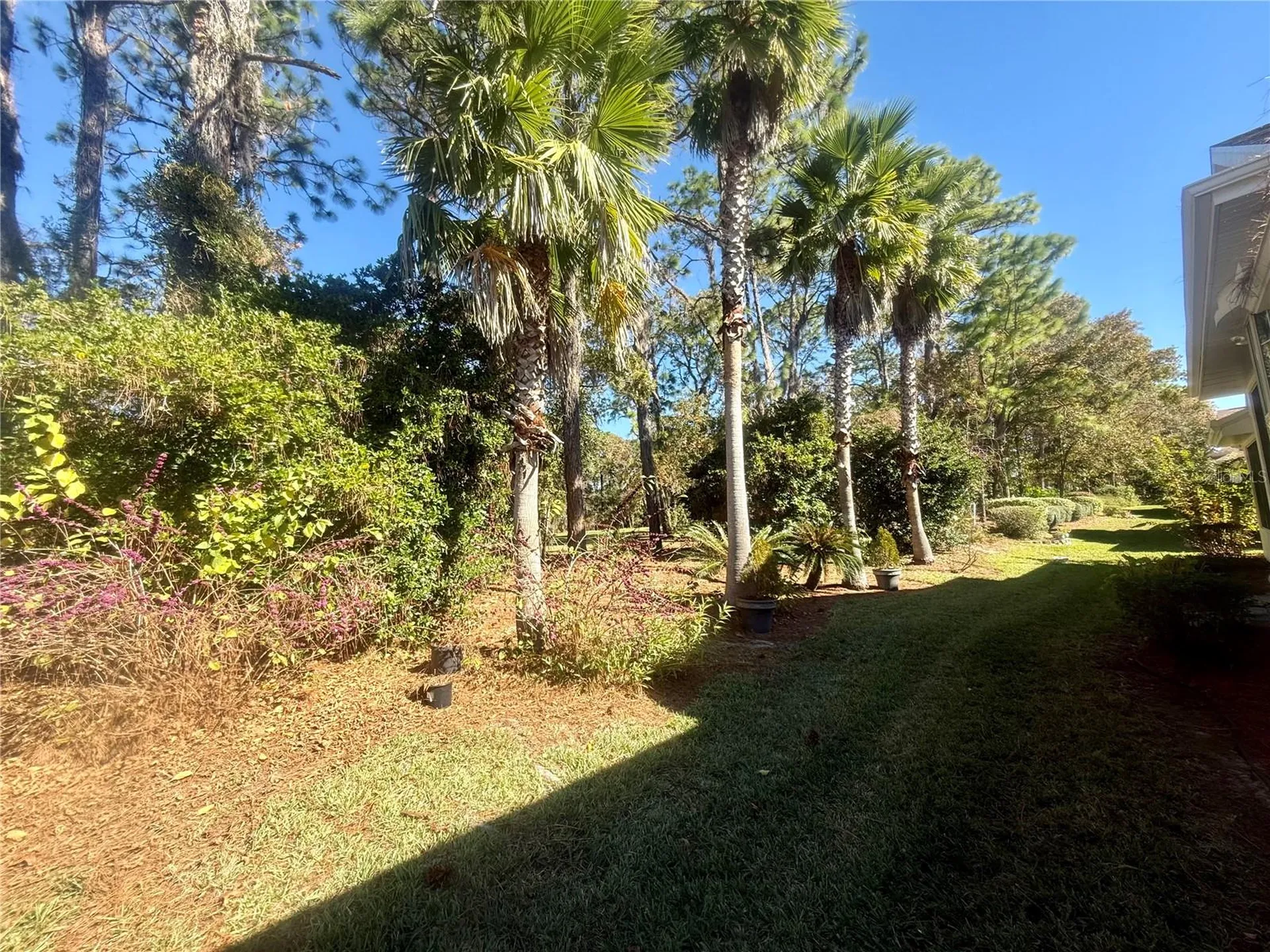 11621 SW 72nd Circle Ocala FL 34476