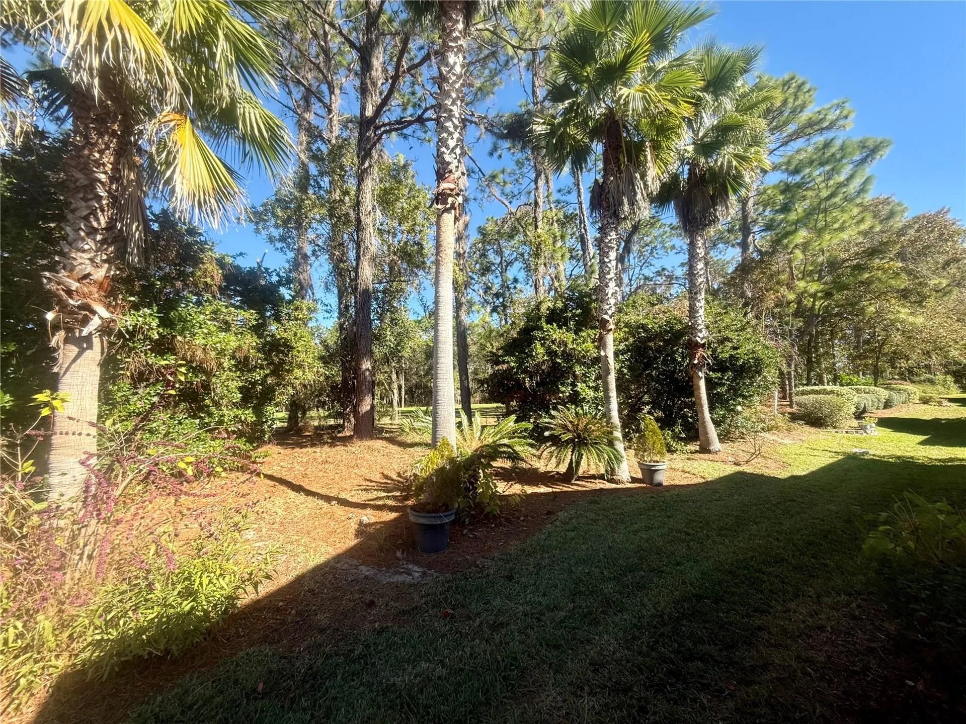 11621 SW 72nd Circle Ocala FL 34476
