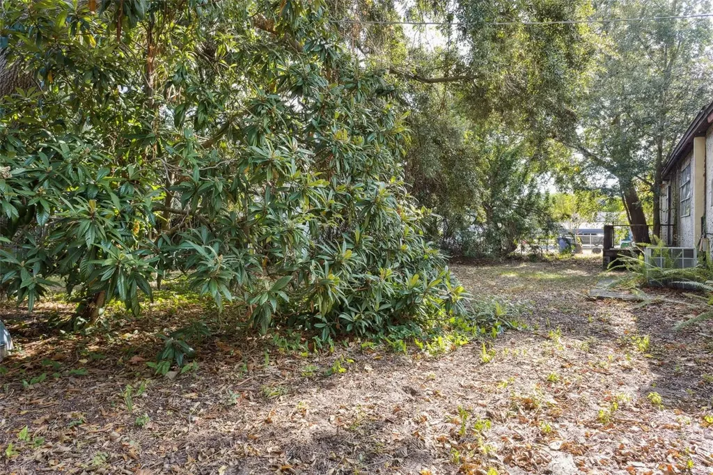 2509 Emma Circle Tampa FL 33614