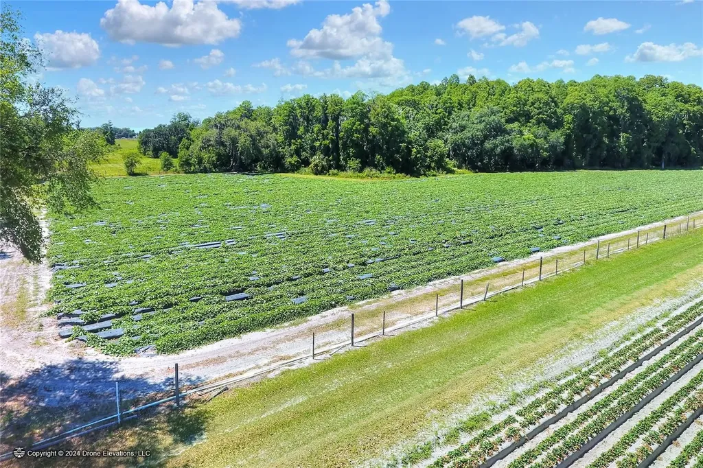 5625 Stafford Road Plant City FL 33565