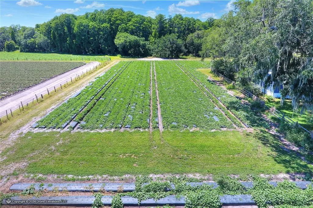 5625 Stafford Road Plant City FL 33565