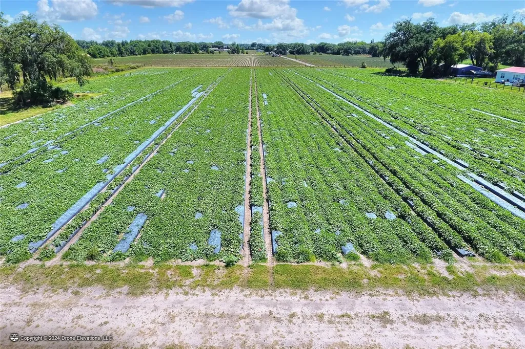 5625 Stafford Road Plant City FL 33565