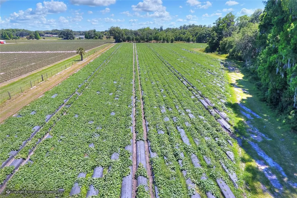 5625 Stafford Road Plant City FL 33565