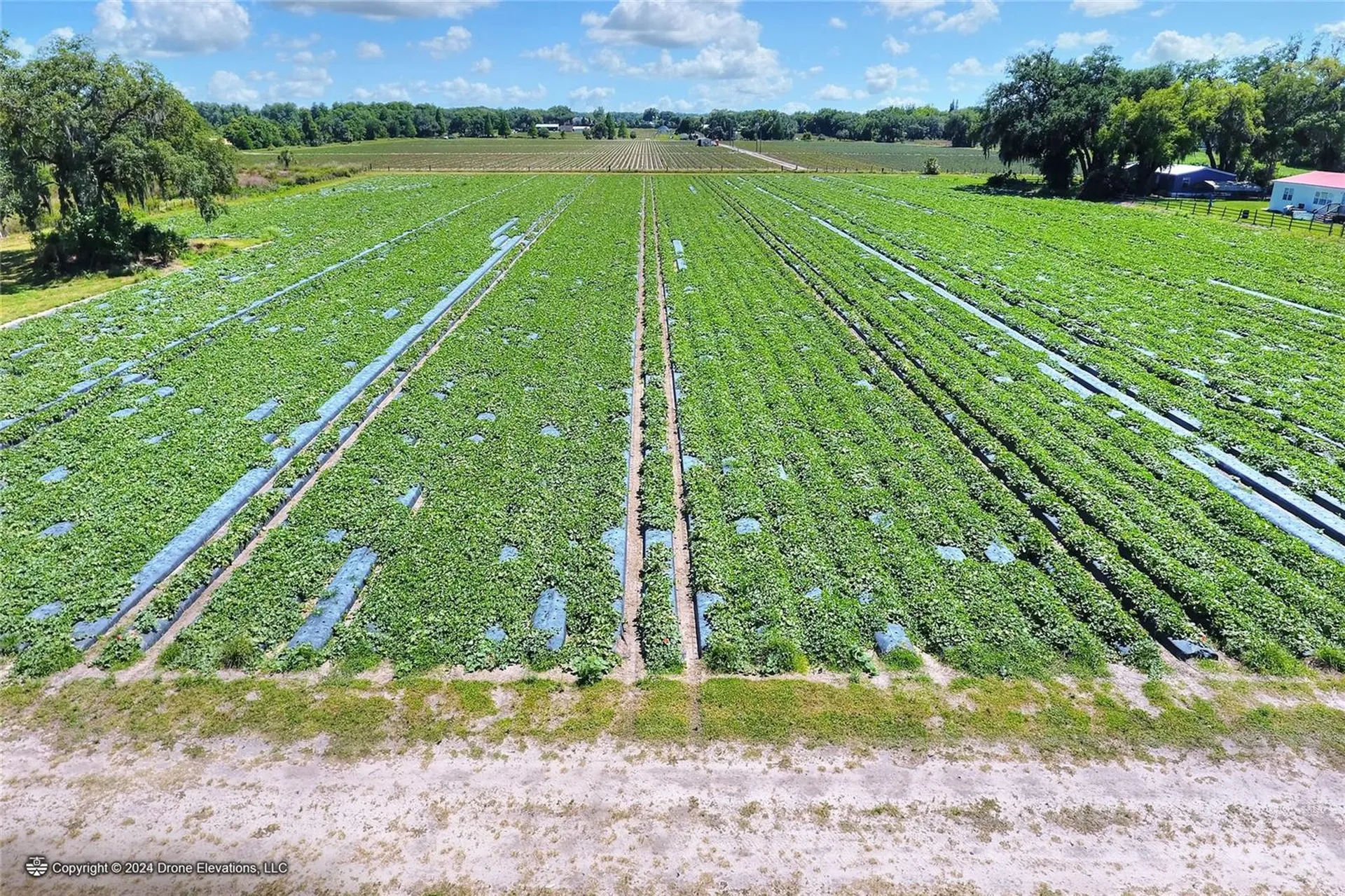5625 Stafford Road Plant City FL 33565