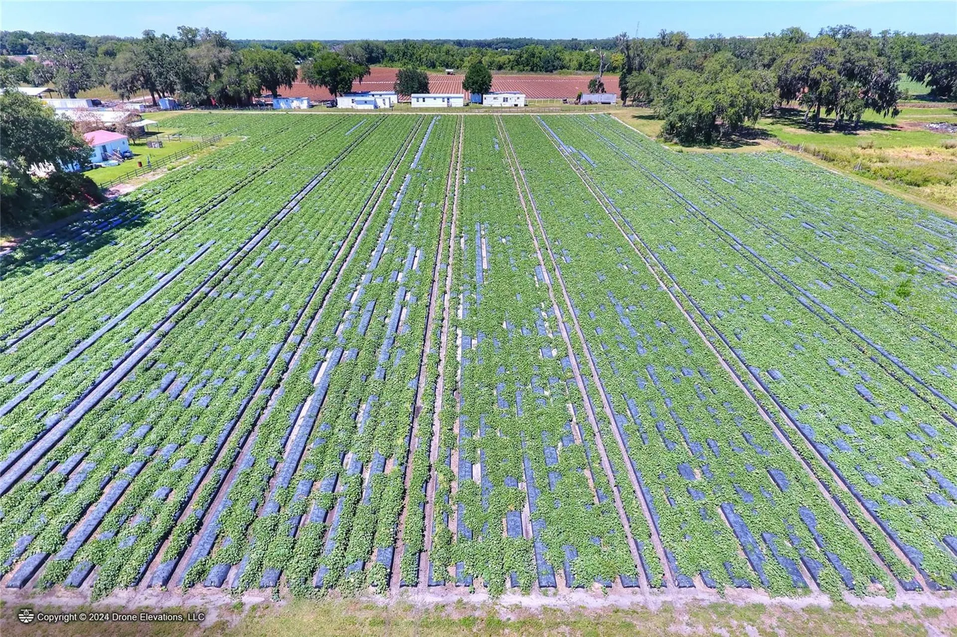 5625 Stafford Road Plant City FL 33565