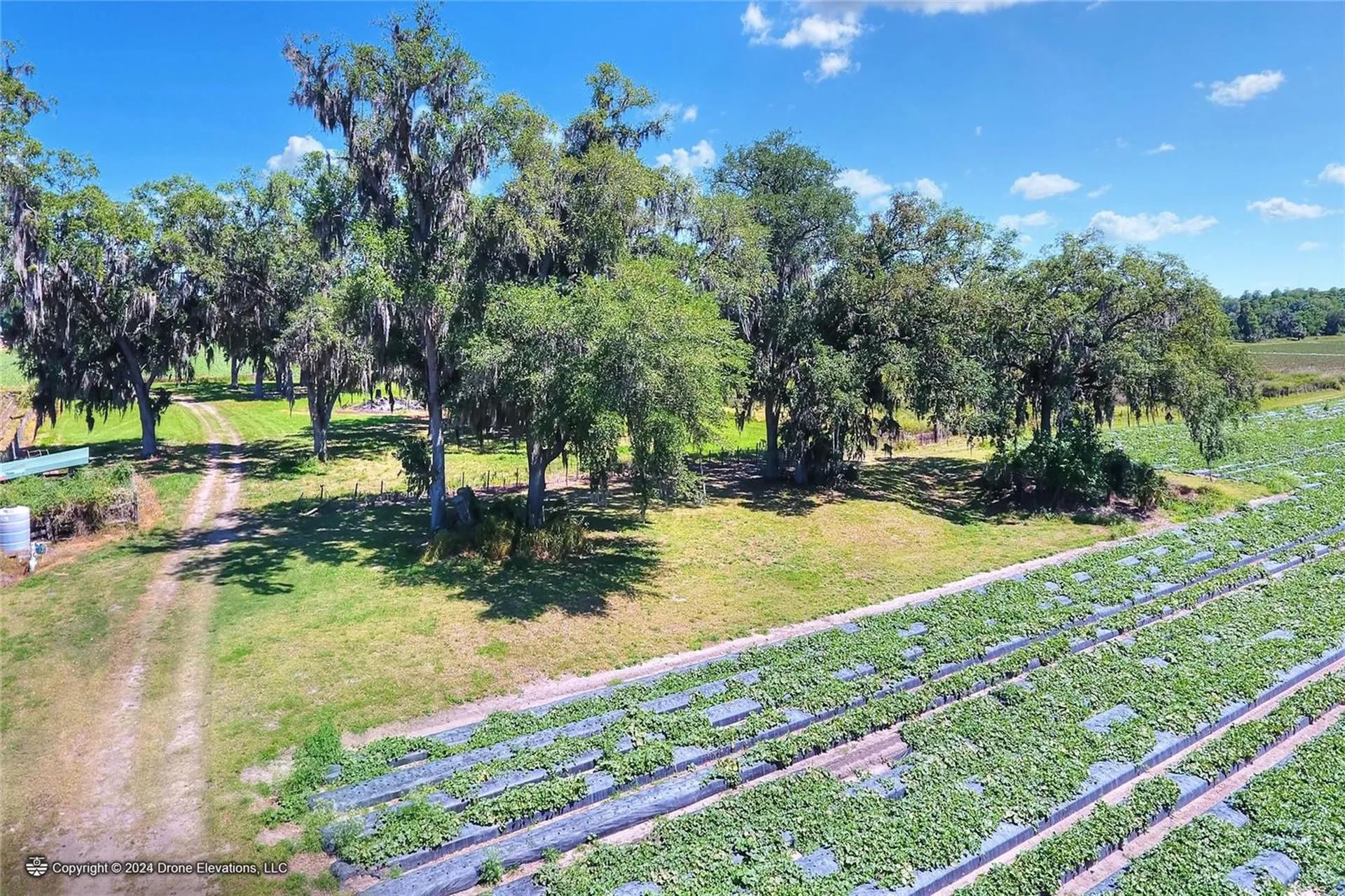 5625 Stafford Road Plant City FL 33565