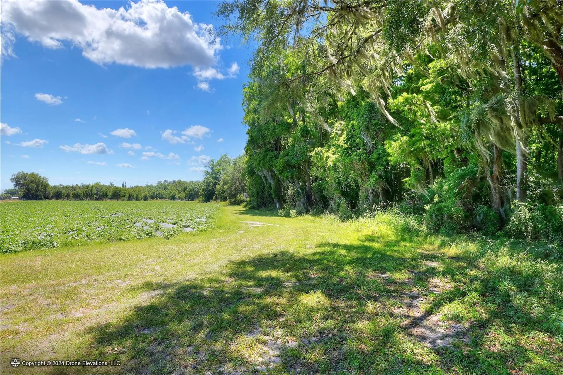 5625 Stafford Road Plant City FL 33565