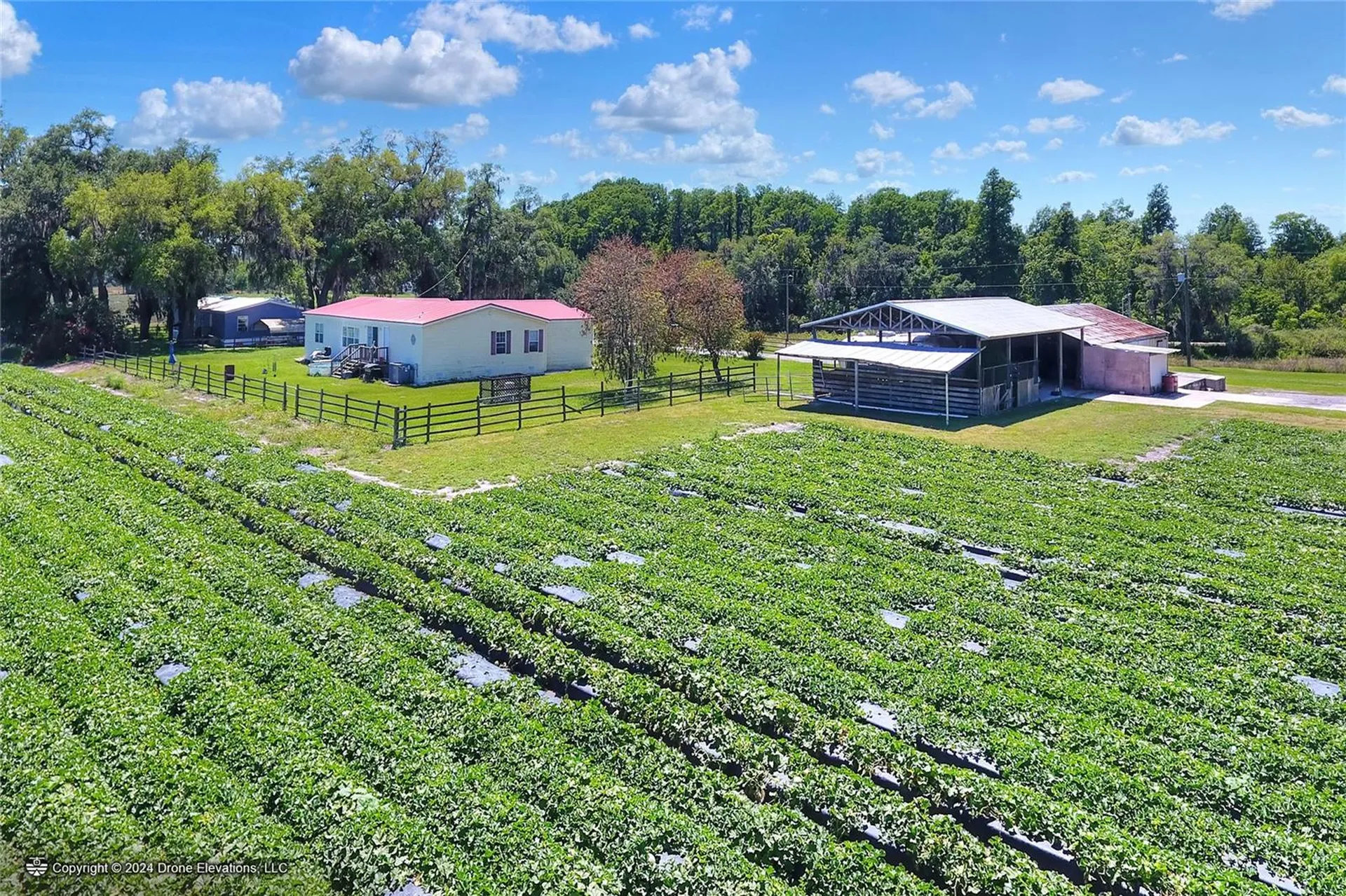 5625 Stafford Road Plant City FL 33565