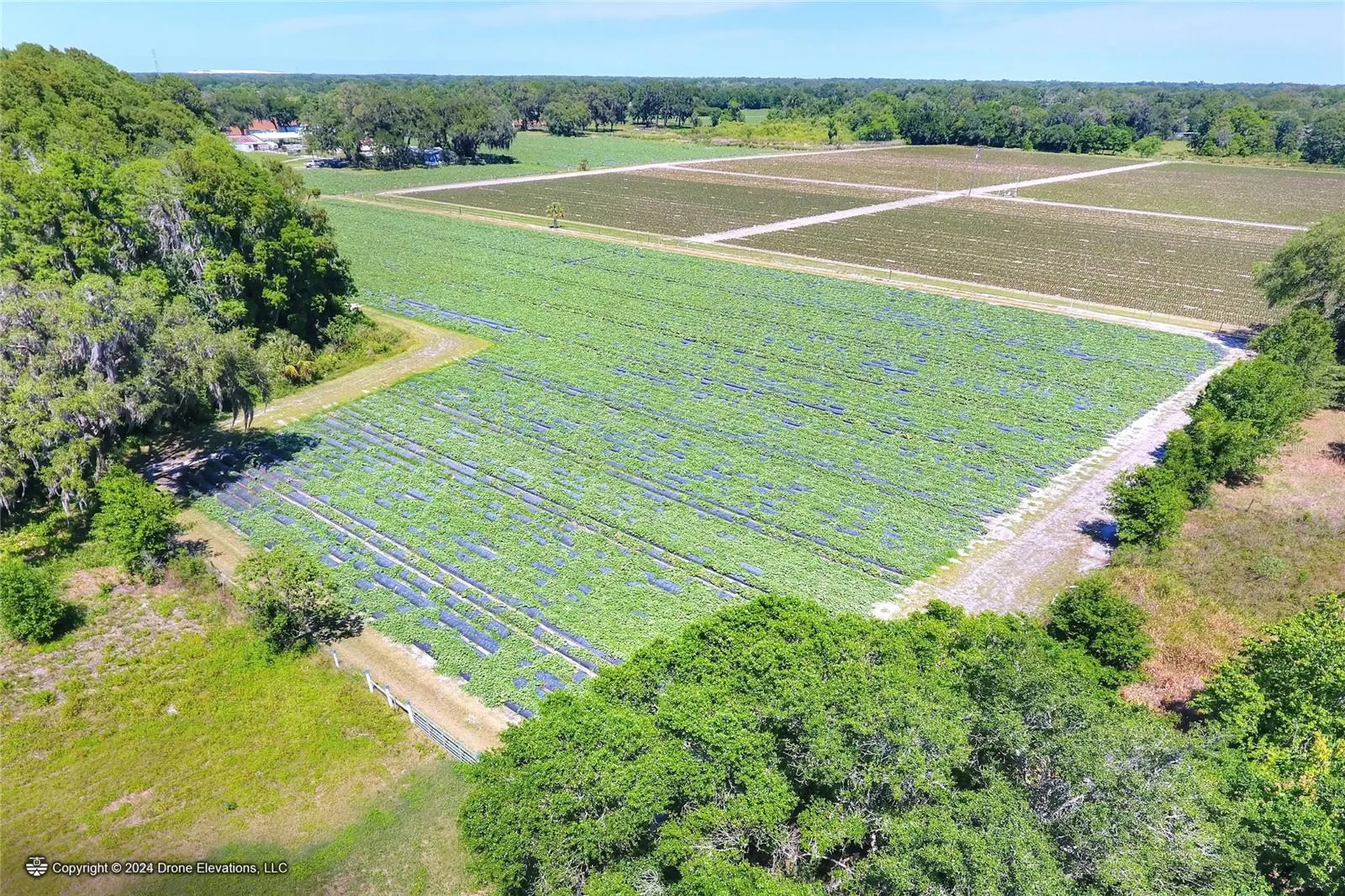 5625 Stafford Road Plant City FL 33565