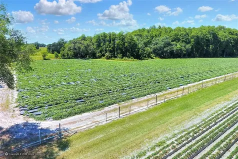 5625 Stafford Road Plant City FL 33565