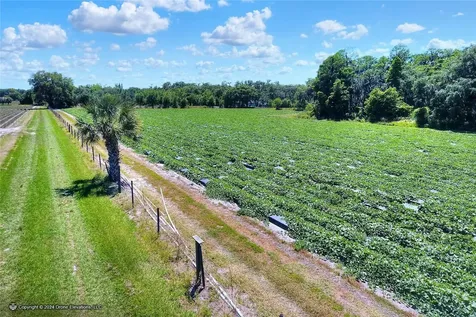5625 Stafford Road Plant City FL 33565