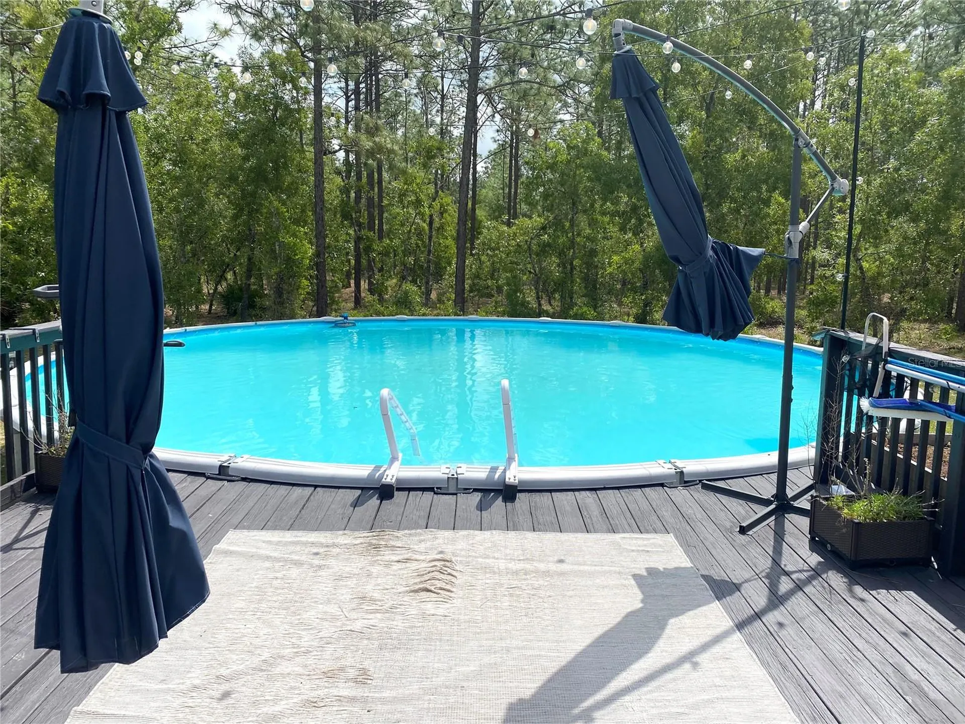 7035 SW 136th Court Road Ocala FL 34481