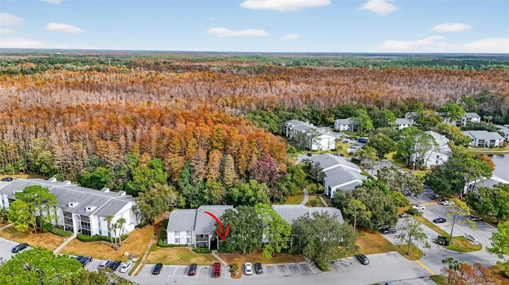 1258 Pine Ridge Circle W Tarpon Springs FL 34688