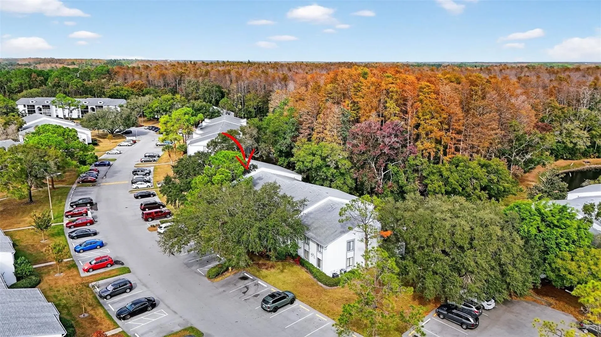 1258 Pine Ridge Circle W Tarpon Springs FL 34688