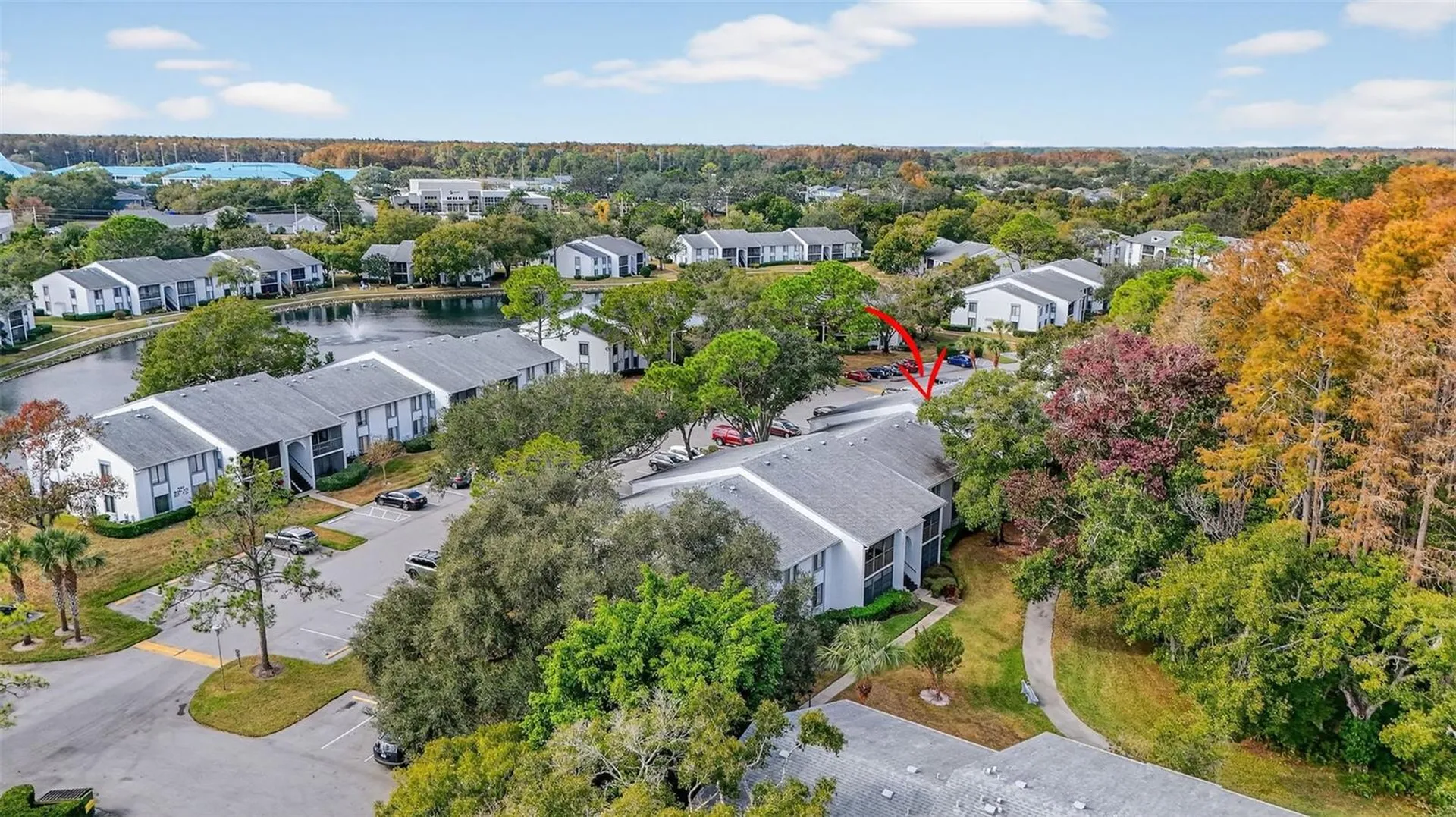 1258 Pine Ridge Circle W Tarpon Springs FL 34688