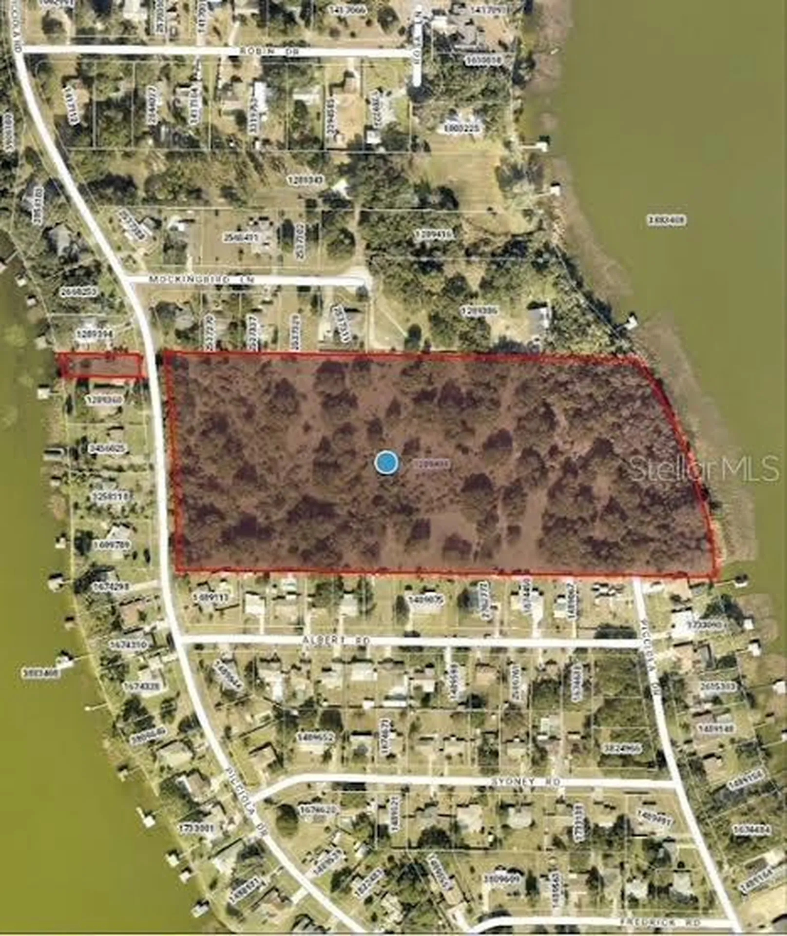 Picciola Drive Fruitland Park FL 34731