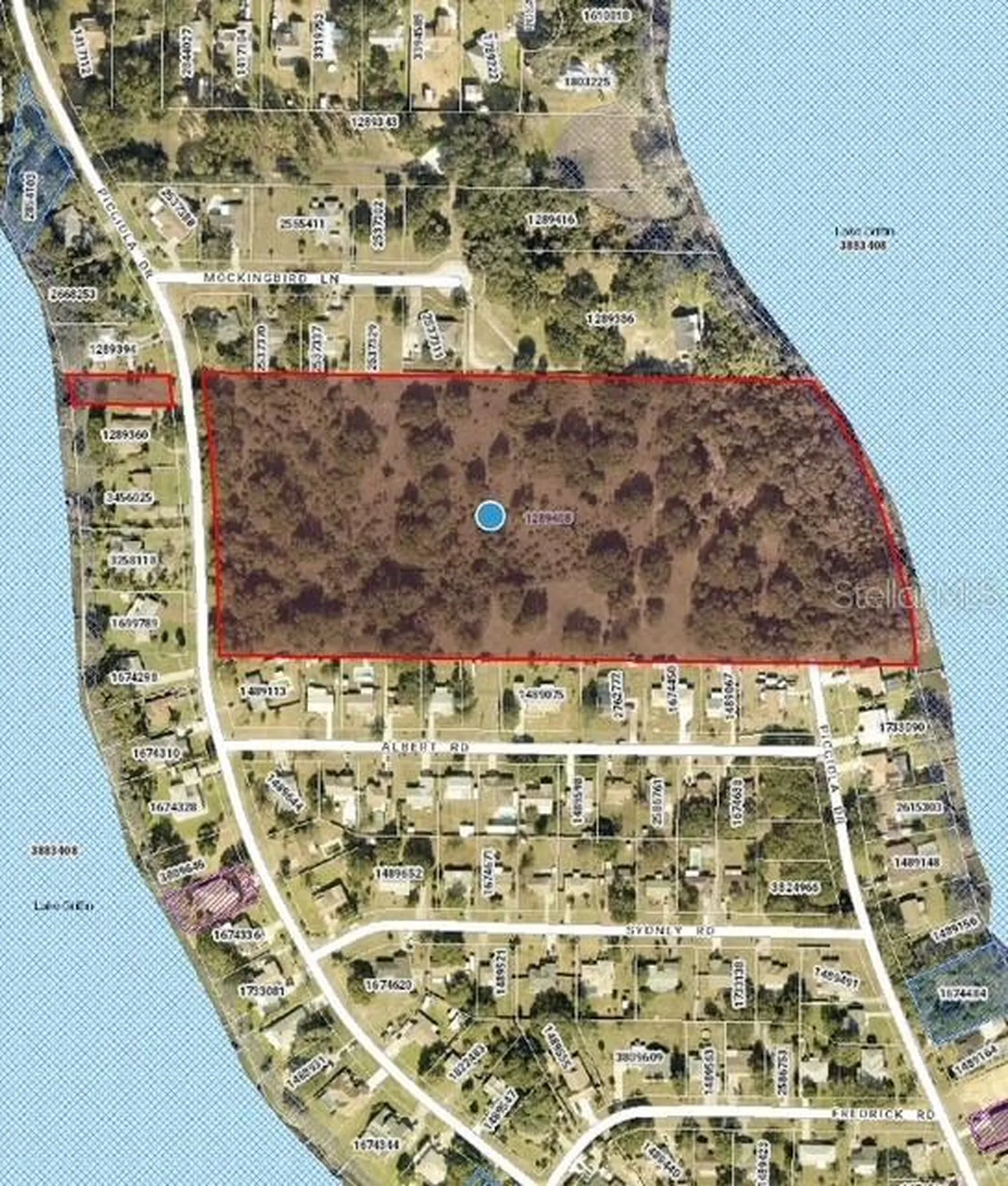 Picciola Drive Fruitland Park FL 34731
