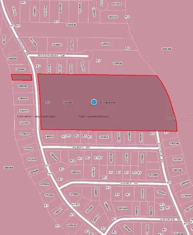 Picciola Drive Fruitland Park FL 34731