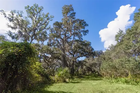 6250 & 5942 E C 478 Center Hill FL 33514