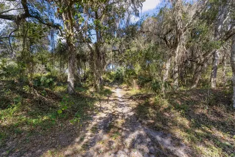 6250 & 5942 E C 478 Center Hill FL 33514