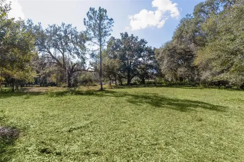6250 & 5942 E C 478 Center Hill FL 33514