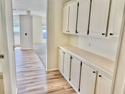 3781 Cohen Drive Zellwood FL 32798