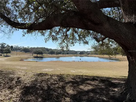 3781 Cohen Drive Zellwood FL 32798