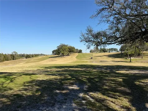 3781 Cohen Drive Zellwood FL 32798