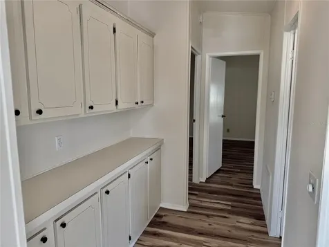 3781 Cohen Drive Zellwood FL 32798