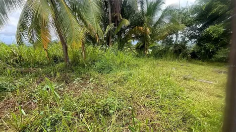 908 St Barrio Tejas Yabucoa PR 00767