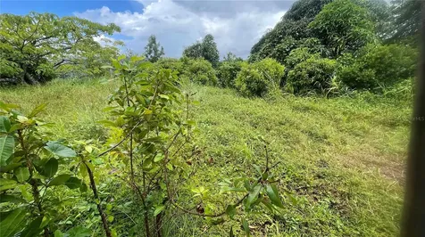 908 Street Barrio Tejas Yabucoa PR 00767