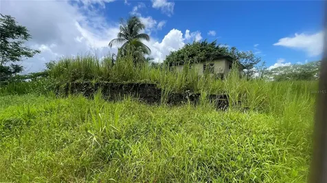 908 Street Barrio Tejas Yabucoa PR 00767