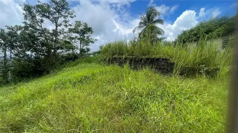 908 Street Barrio Tejas Yabucoa PR 00767