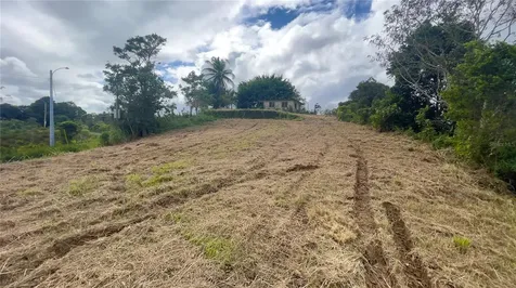 908 Street Barrio Tejas Yabucoa PR 00767
