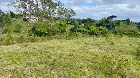 908 St Barrio Tejas Yabucoa PR 00767