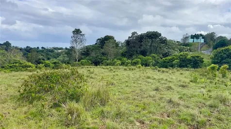 908 St Barrio Tejas Yabucoa PR 00767