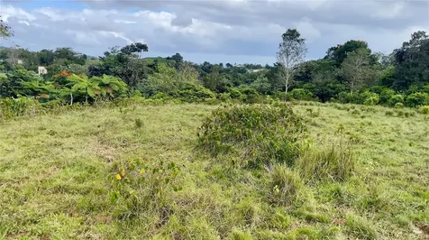 908 St Barrio Tejas Yabucoa PR 00767