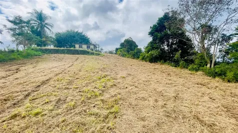 908 St Barrio Tejas Yabucoa PR 00767