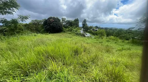 908 Street Barrio Tejas Yabucoa PR 00767