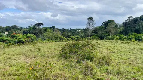 908 St Barrio Tejas Yabucoa PR 00767