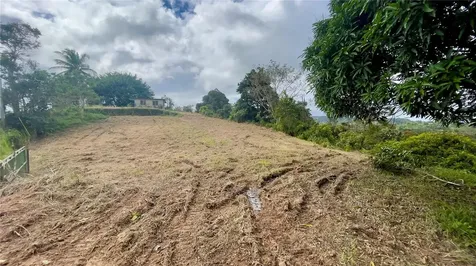 908 Street Barrio Tejas Yabucoa PR 00767
