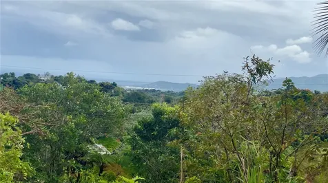 908 St Barrio Tejas Yabucoa PR 00767