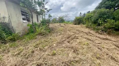 908 Street Barrio Tejas Yabucoa PR 00767