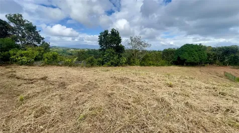 908 St Barrio Tejas Yabucoa PR 00767