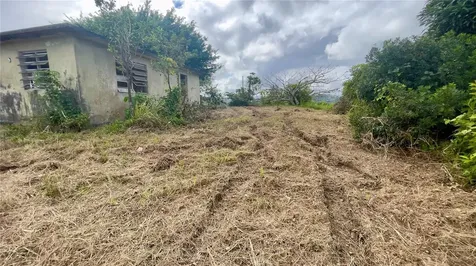 908 Street Barrio Tejas Yabucoa PR 00767