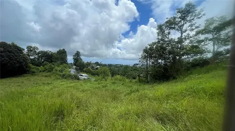 908 St Barrio Tejas Yabucoa PR 00767