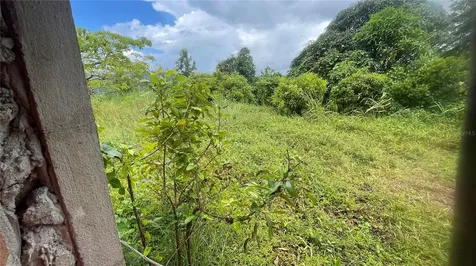 908 Street Barrio Tejas Yabucoa PR 00767