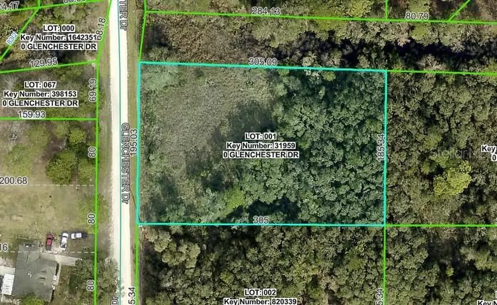 7222 Glenchester Drive Webster FL 33597