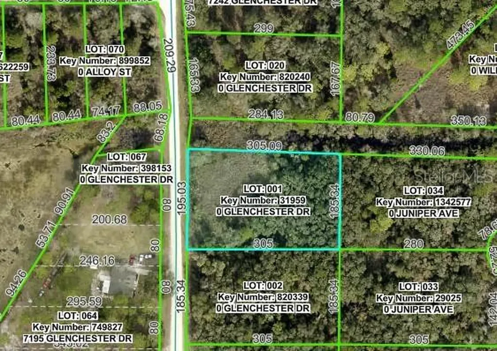 7222 Glenchester Drive Webster FL 33597