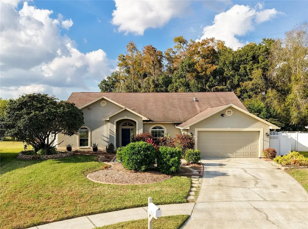 26203 Corkwood Court Land O Lakes FL 34639